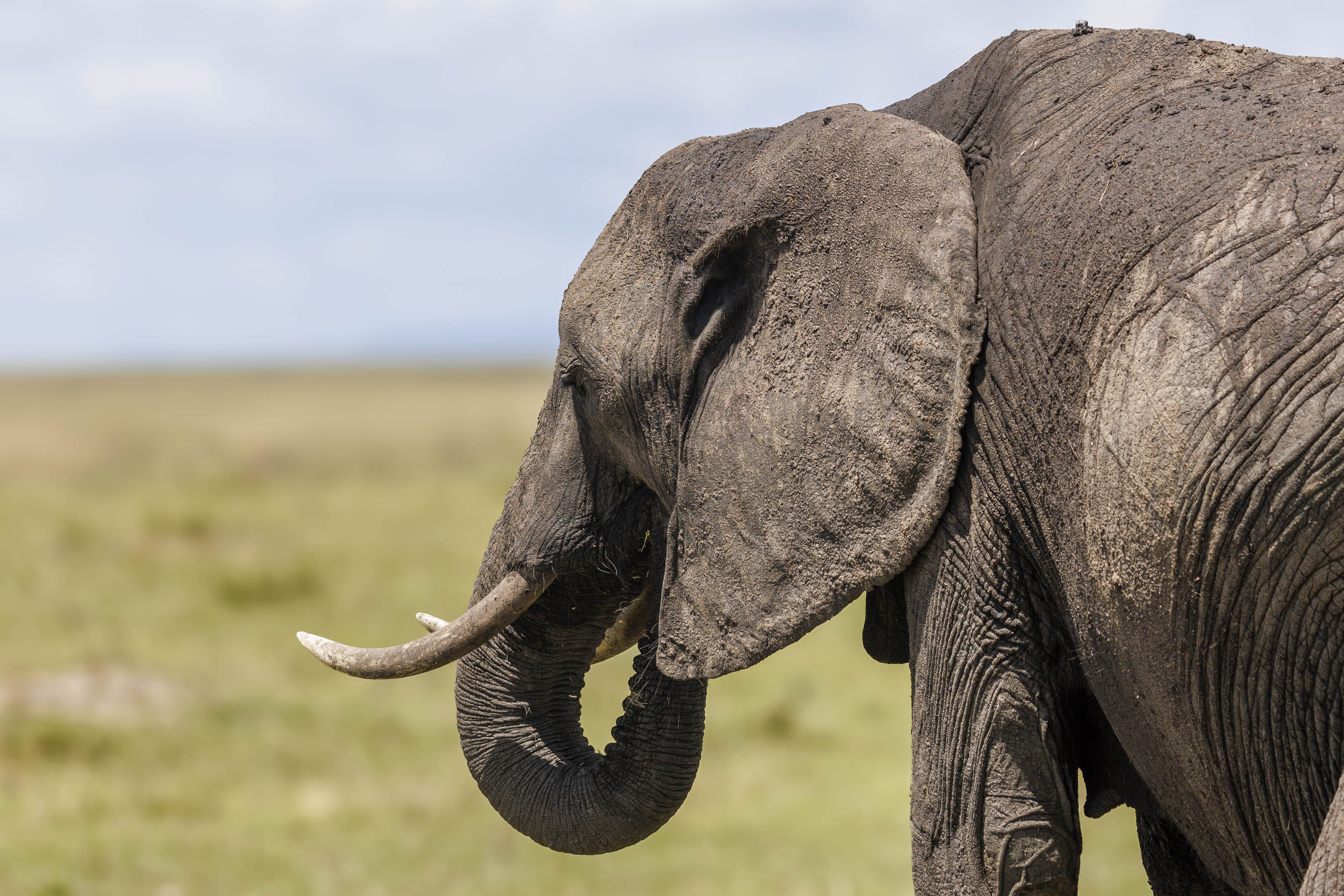 November 11, 2022-112542-2-Edit.jpg